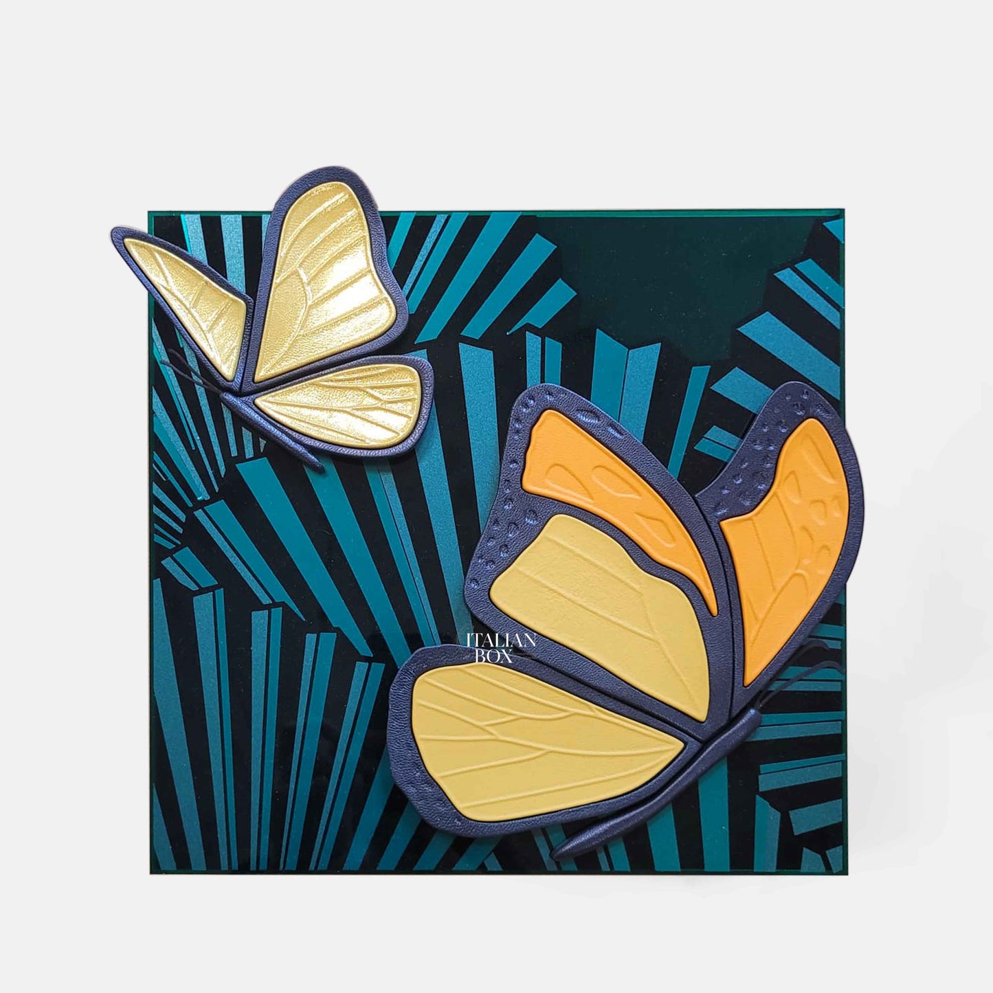 Rolex Butterfly Display (32x32cm)