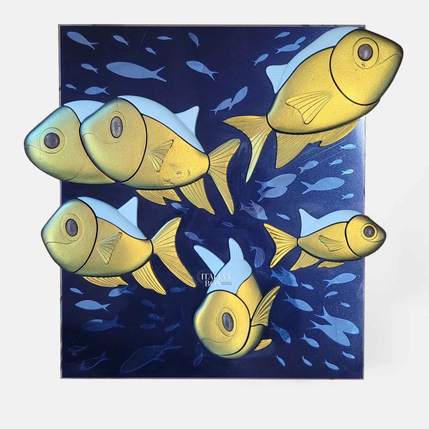 Rolex Shimmering Fishes Display (48x41cm)