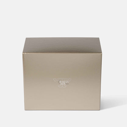 Jaeger-LeCoultre Bronze Box - L size
